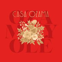Casa Ozama