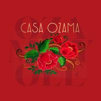Casa Ozama