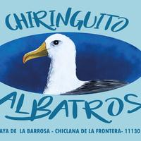 Chiringuito Albatros