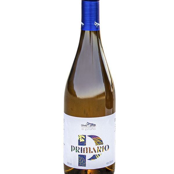 PRIMARIO 2024