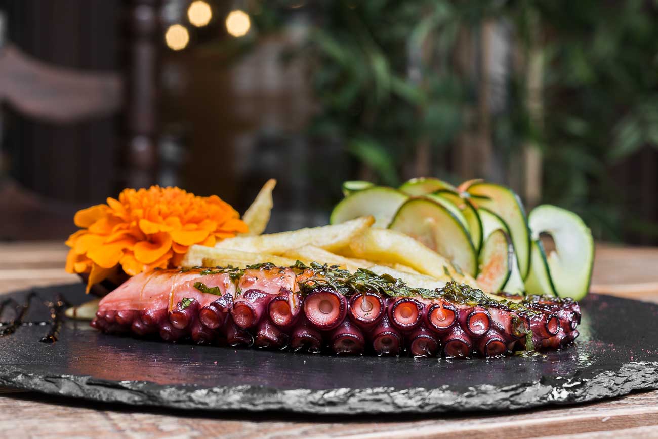 Octopus on the grill