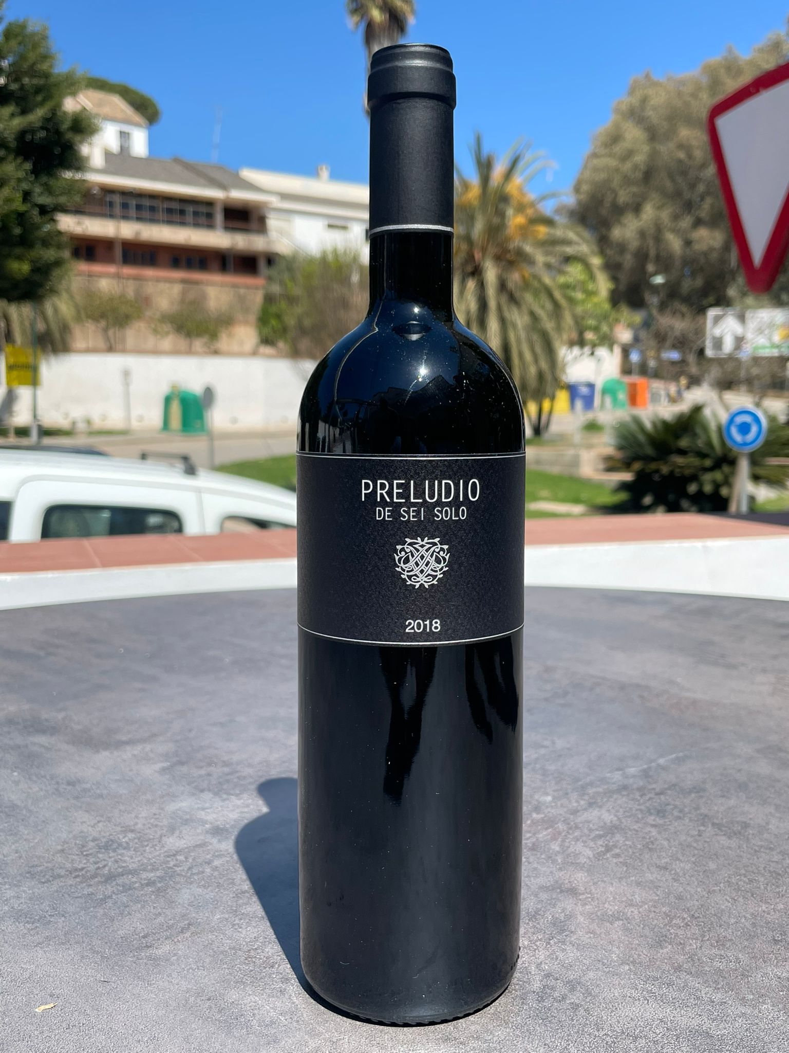 PRELUDIO DE SEI SOLO 