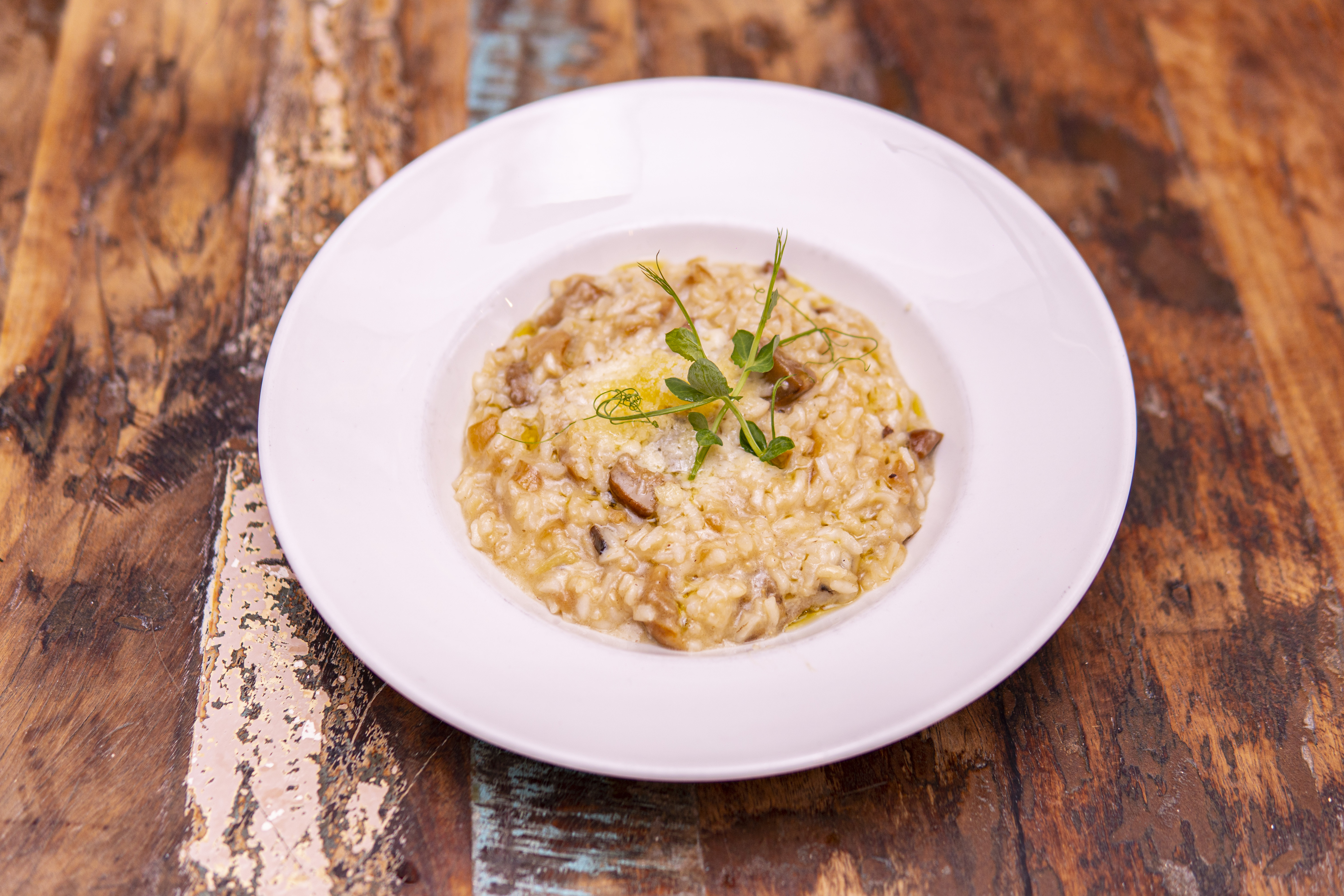 RISOTTO WITH WILD MUSHROOM AND TRUFFLE SAUCE