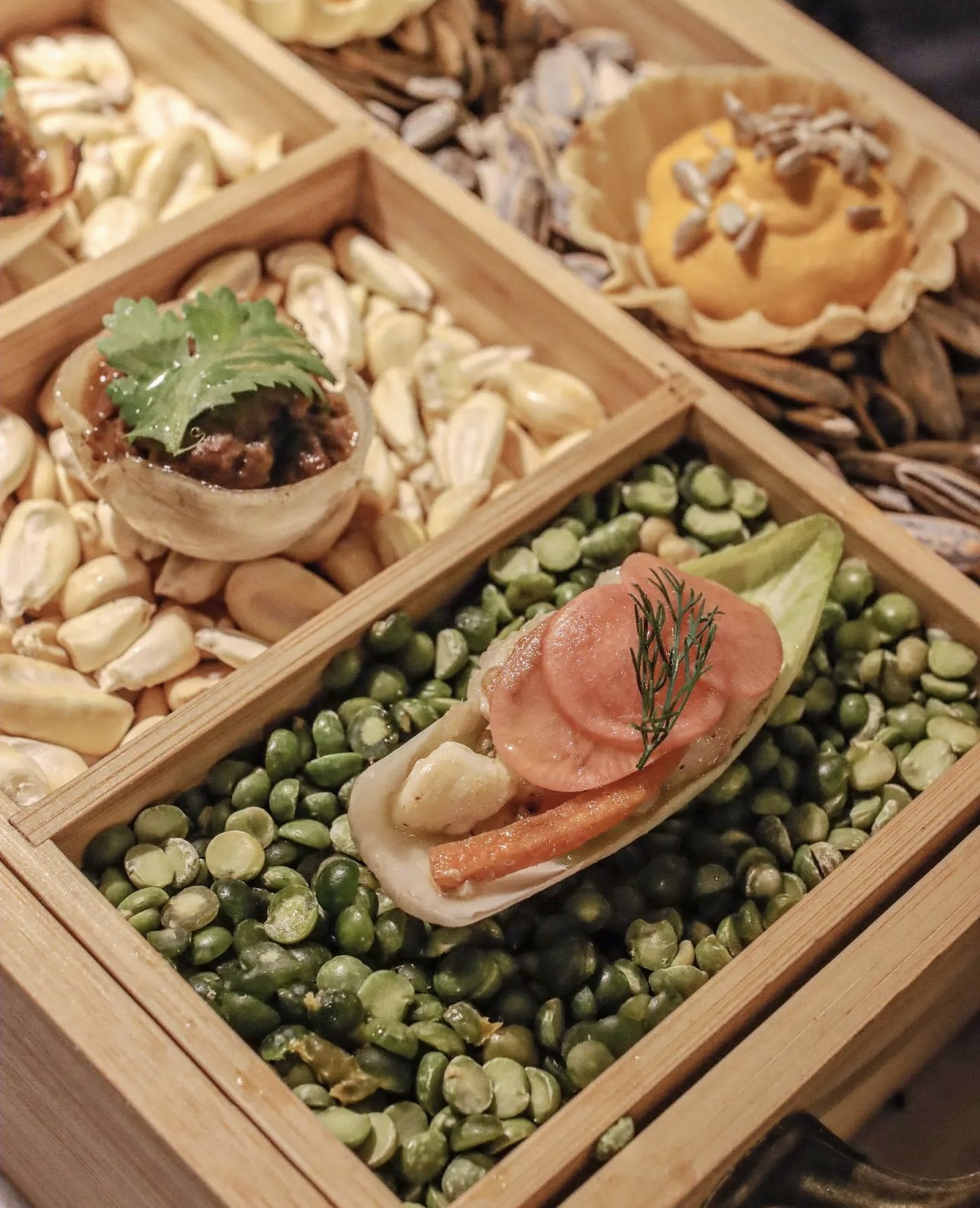 Appetizers of the day