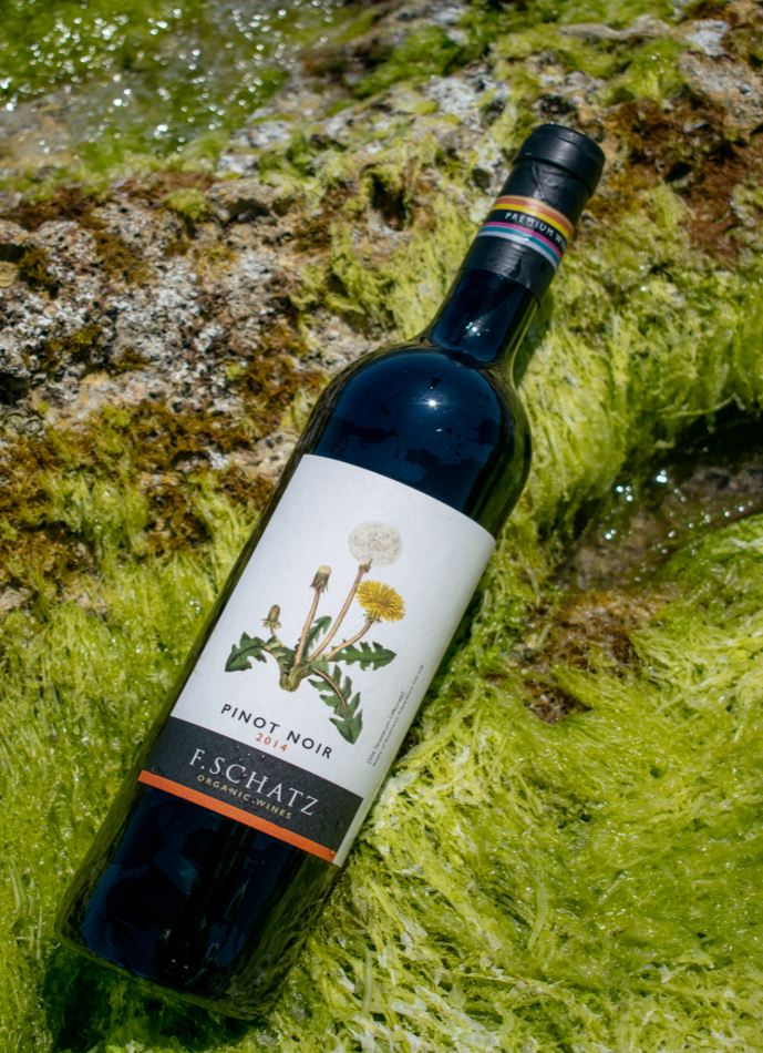 Schatz Pinot Noir 2015