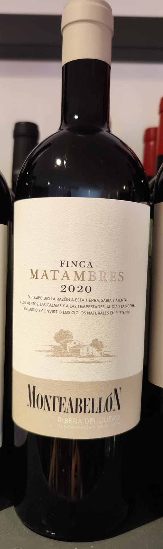 Matambres 2020