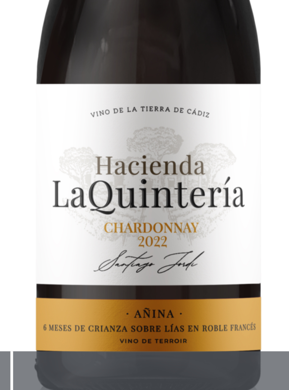 Hacienda la Quinteria, Chardonnay Barrica ( Cadiz )