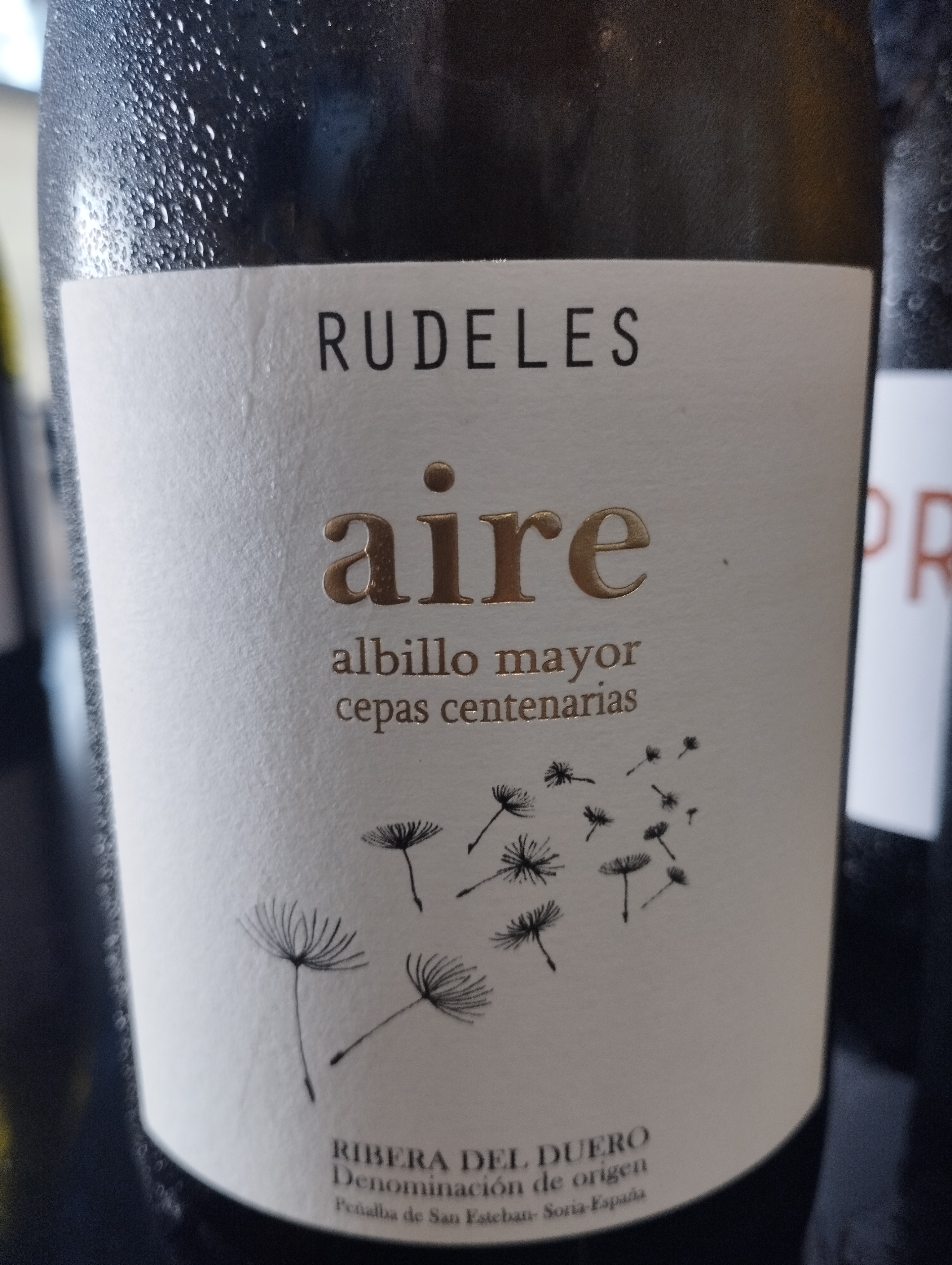 Aire Rudelès