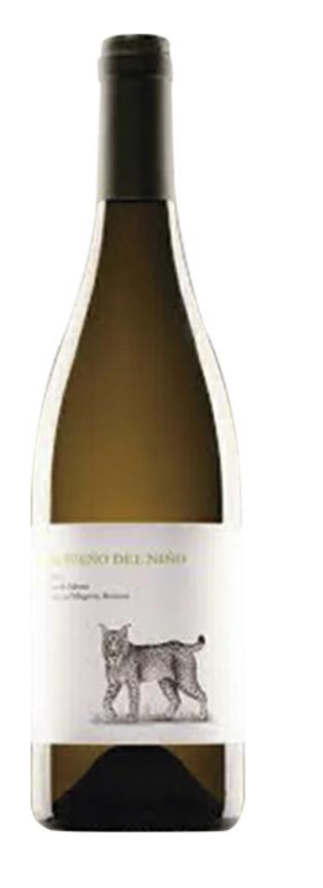 THE DREAM OF THE CHILD ZALEMA 2022