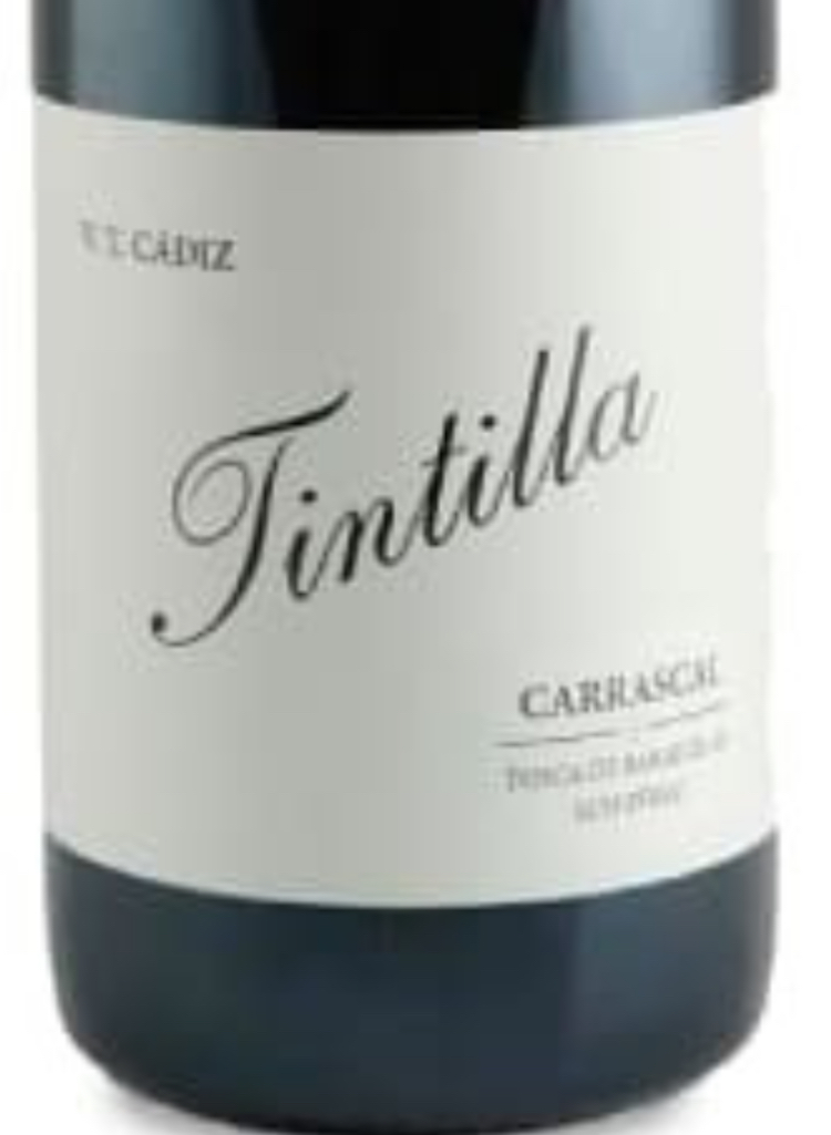 廷蒂拉·巴尔巴伊纳。 Tintilla de Rota (T. Cadiz)