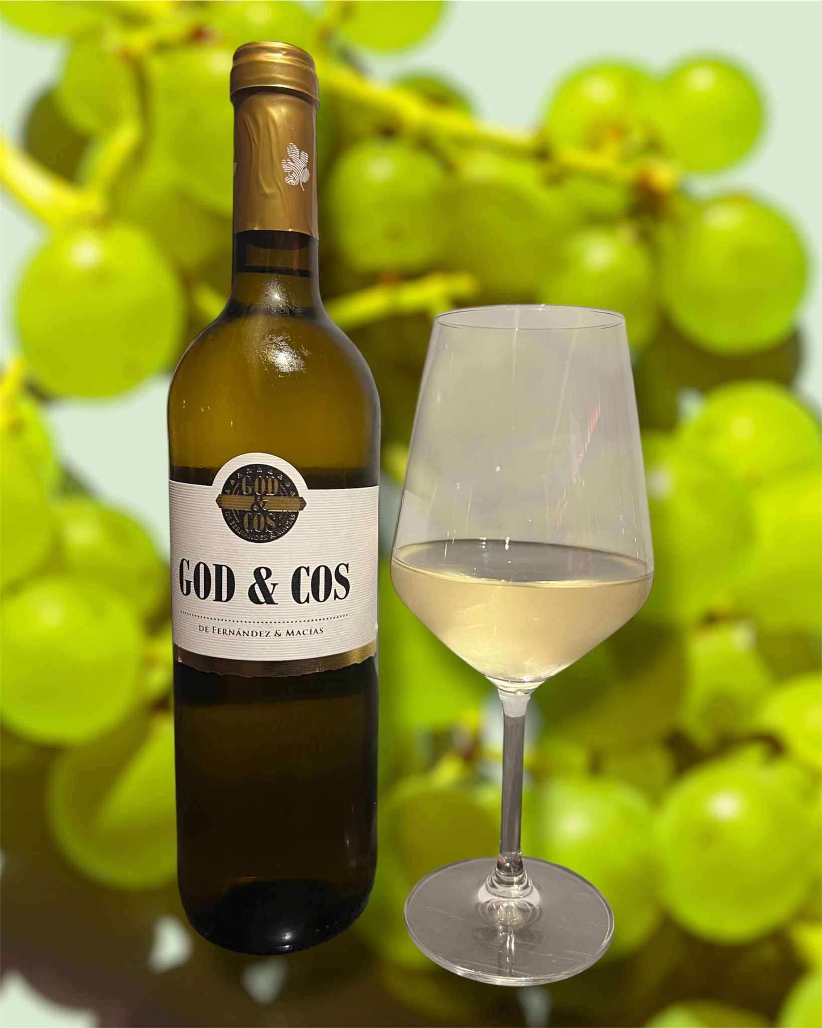 GOD & COS GODELLO