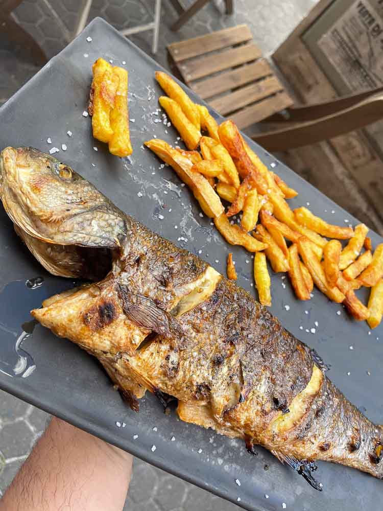 Sea bass from Cádiz with grilled vegetables (700 gr approx.).