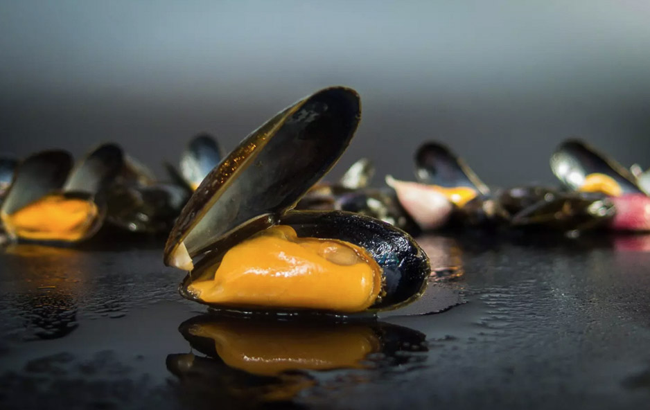 Mexilhões, alho, ervas, vinho galego