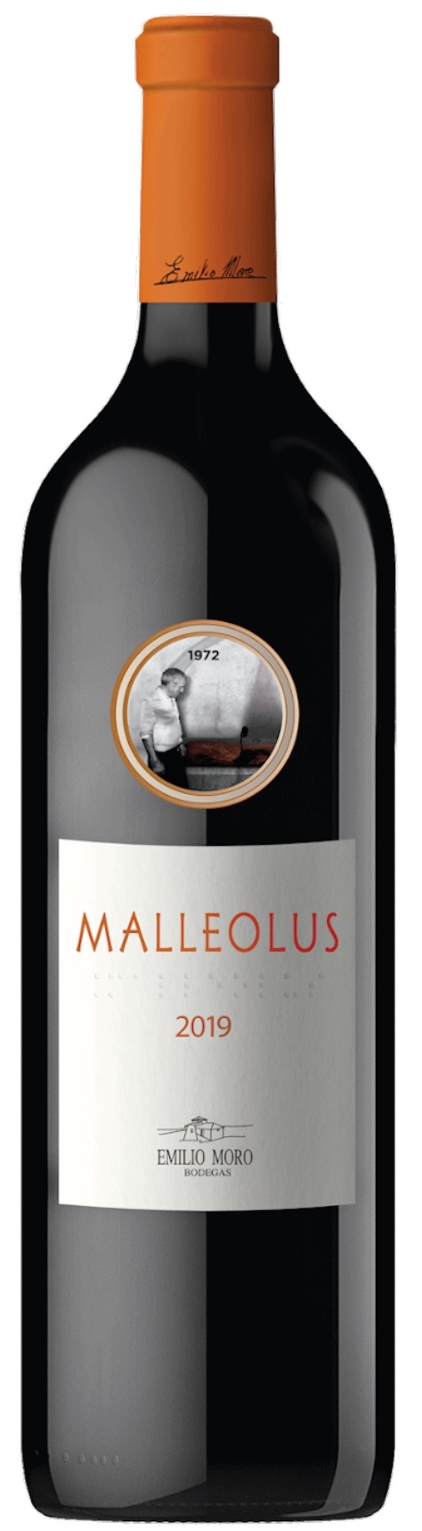 MALLEOLUS EMILIO MORO 