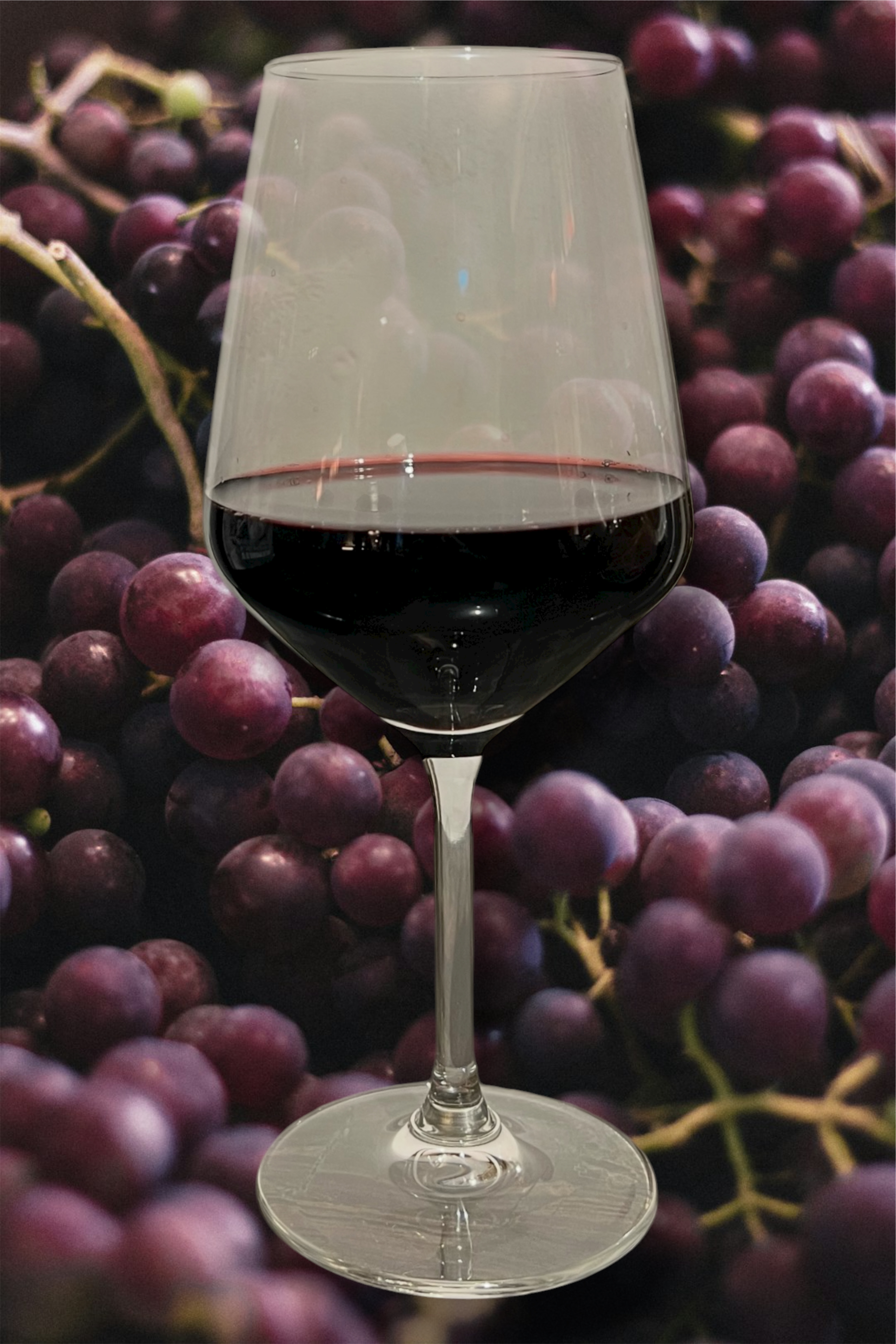 Vino Tinto - Rioja