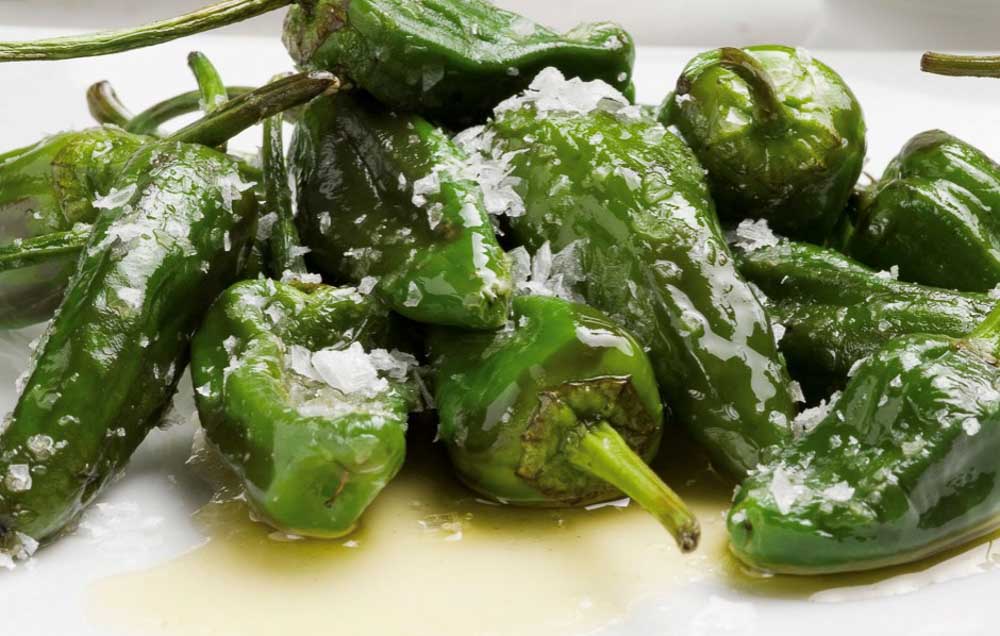 PIMIENTOS DE PADRÓN