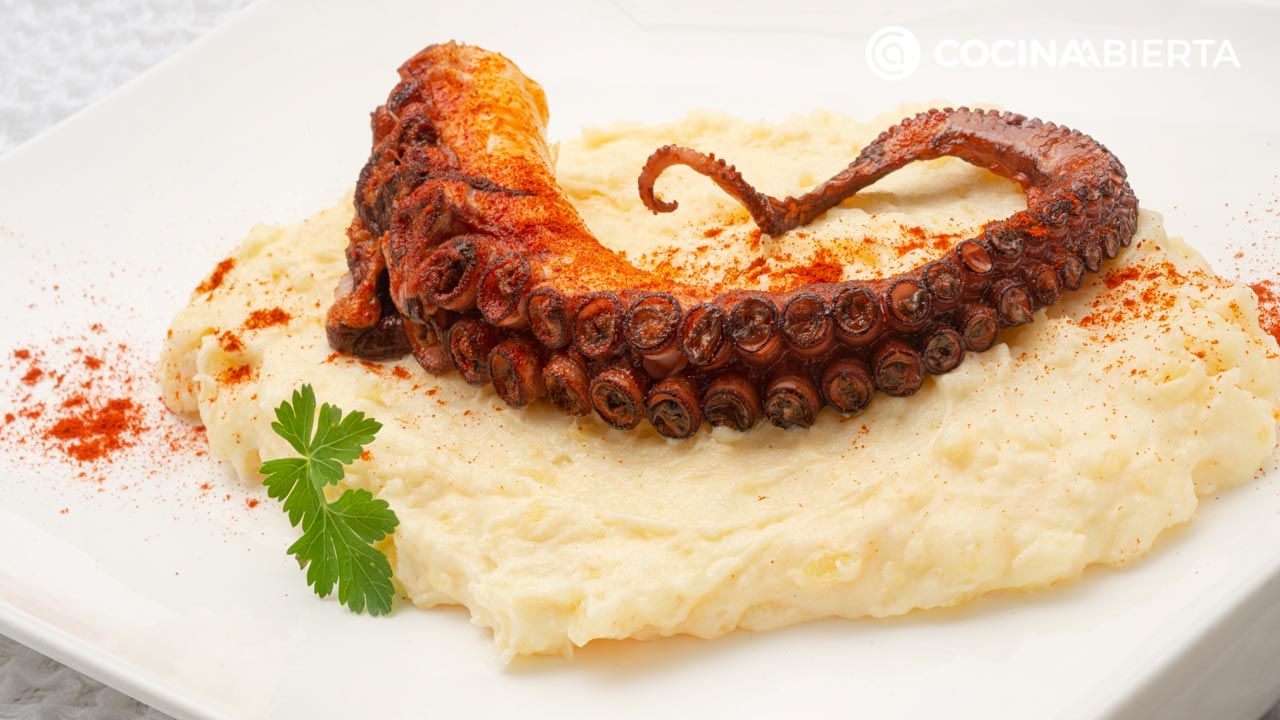 GRILLED OCTOPUS 