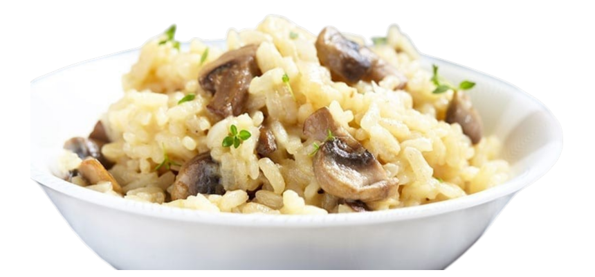 LISTA DE COGUMELOS DA ESTAÇÃO