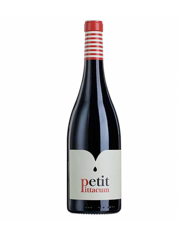PETIT PITACUM 2023