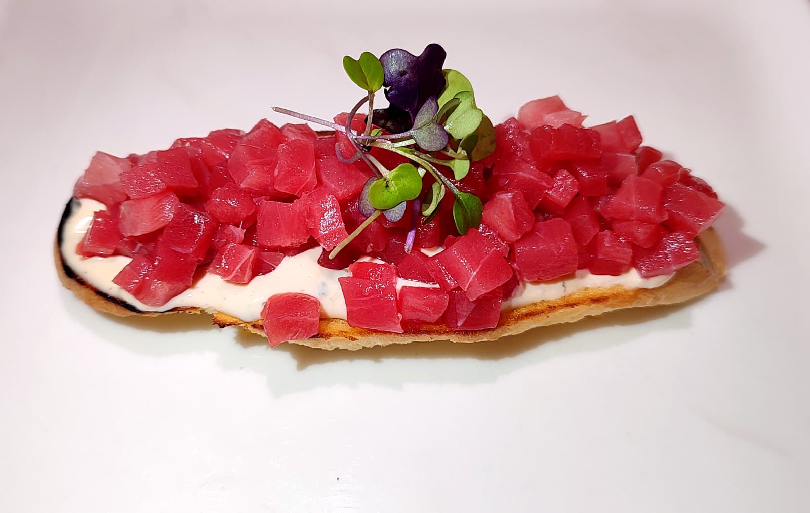 Toasted bread with almadraba bluefin tuna and truffle mayonnaise