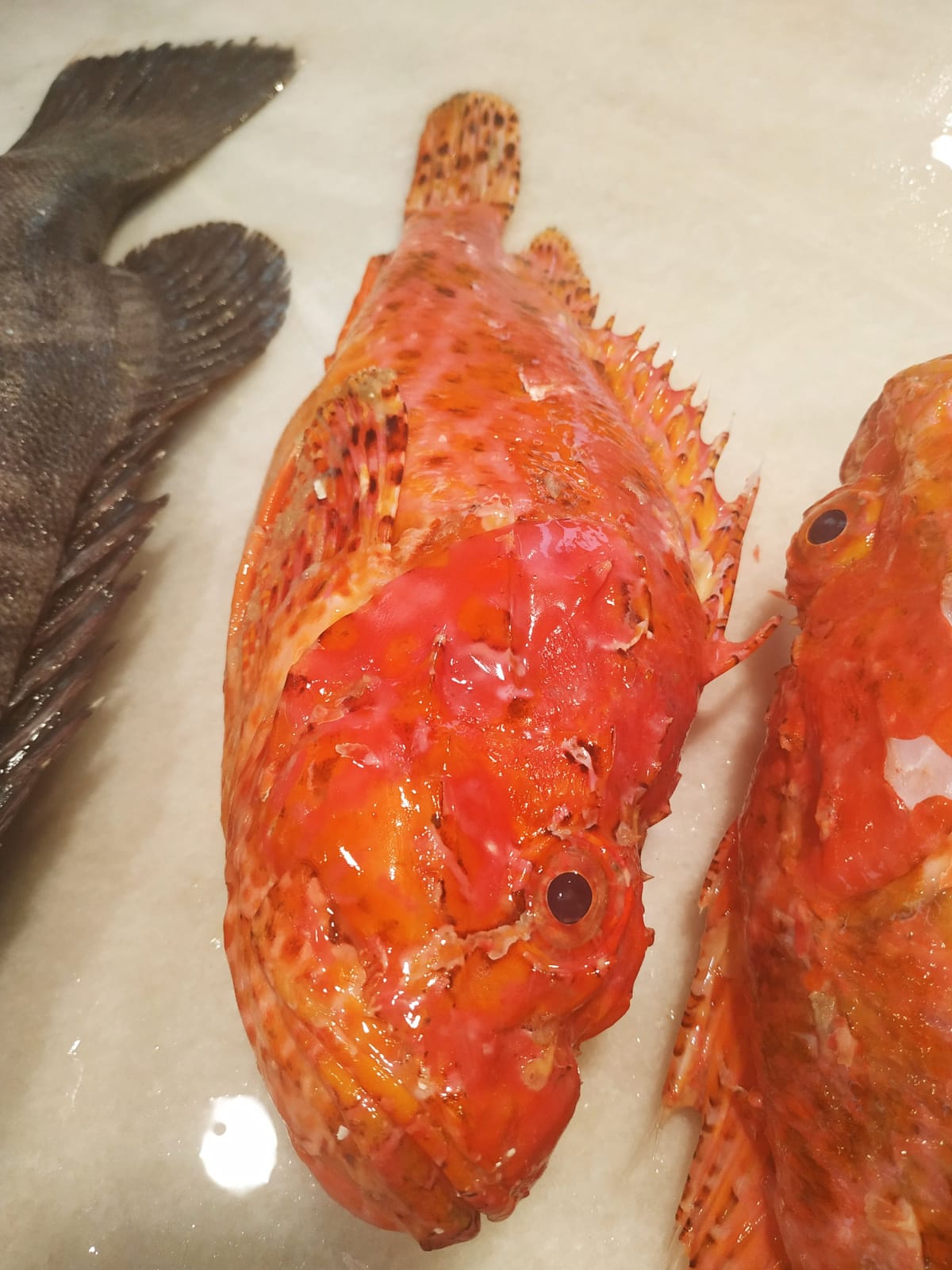 Gallineta Frita con su Espina y Cabeza