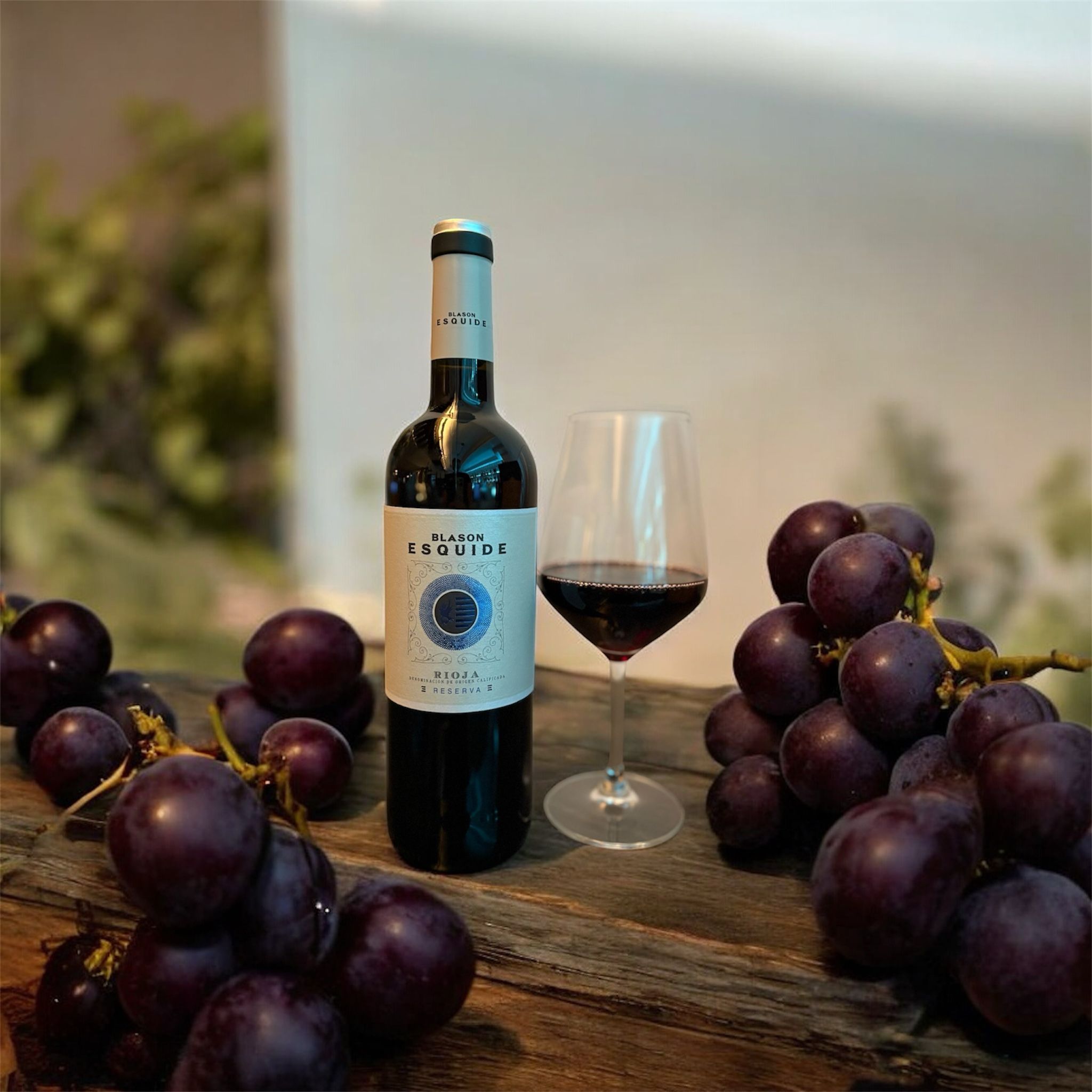 BLASON ESQUIDE RESERVA