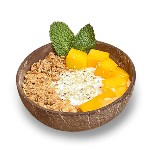 Yogurt & Mango bowl - VE