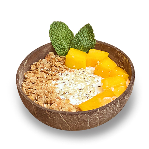Yogurt & Mango bowl - VE / oPB and GF *