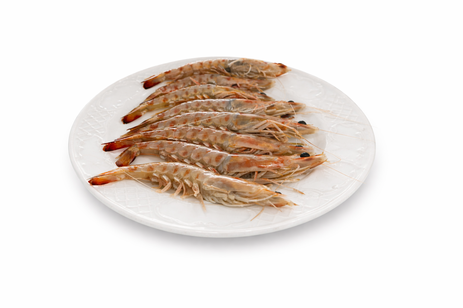 Sanlucar garnelen (200gr)