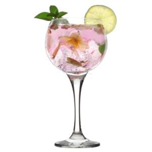 Premium: Hendrick's, Nordes, Puerto de Indias, Lepanto...