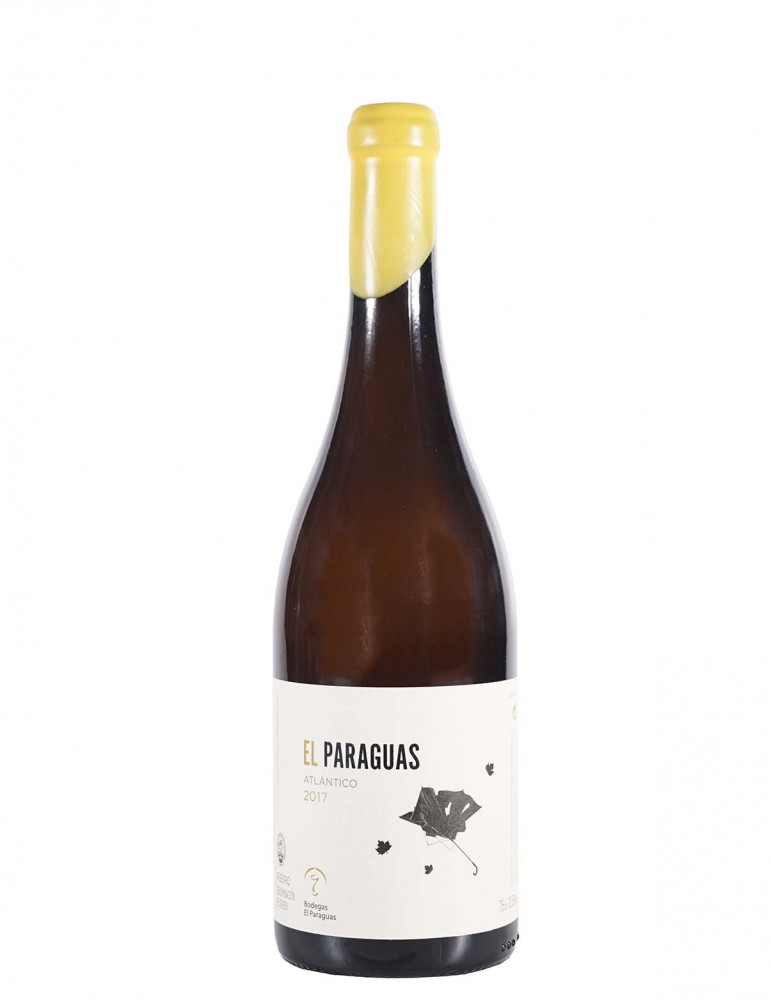 大西洋巴拉圭斯 (D.O. Ribeiro)