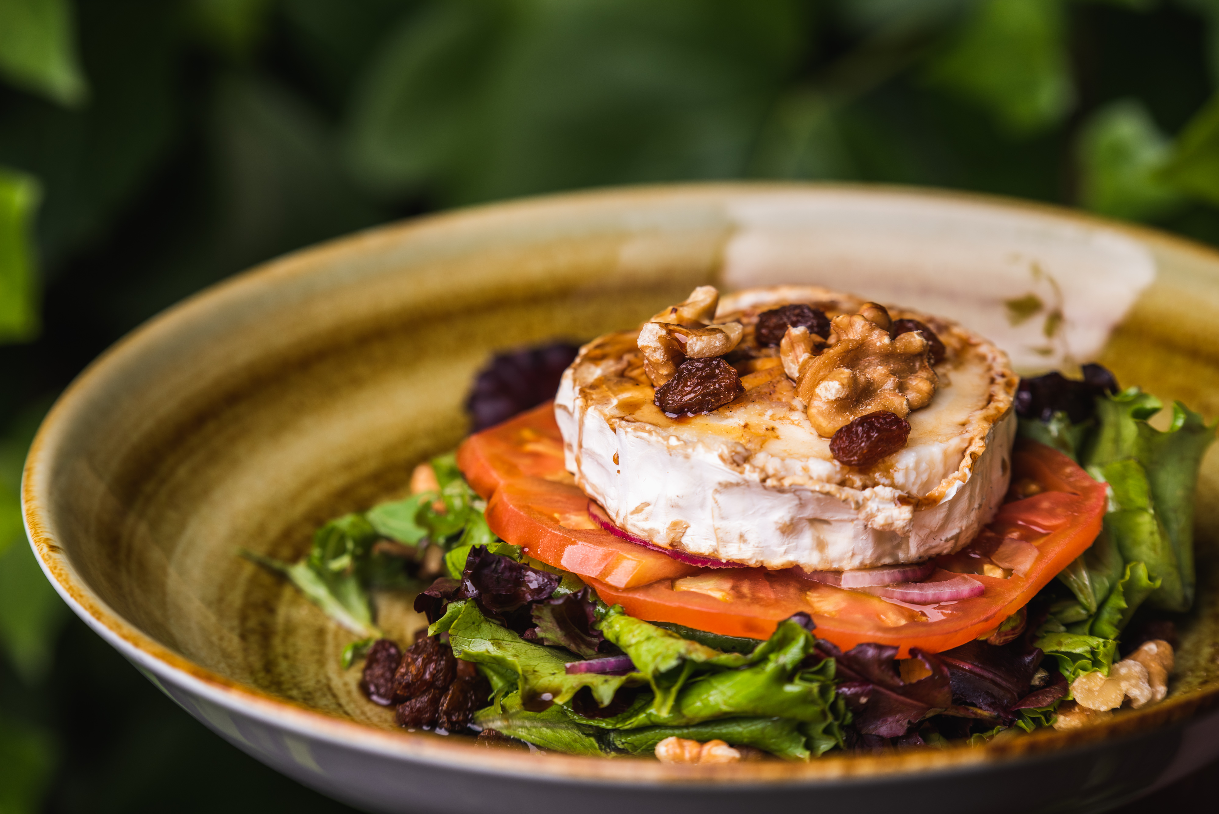 Goat cheese salad with Nuts, raisins, and honey vinaigrette