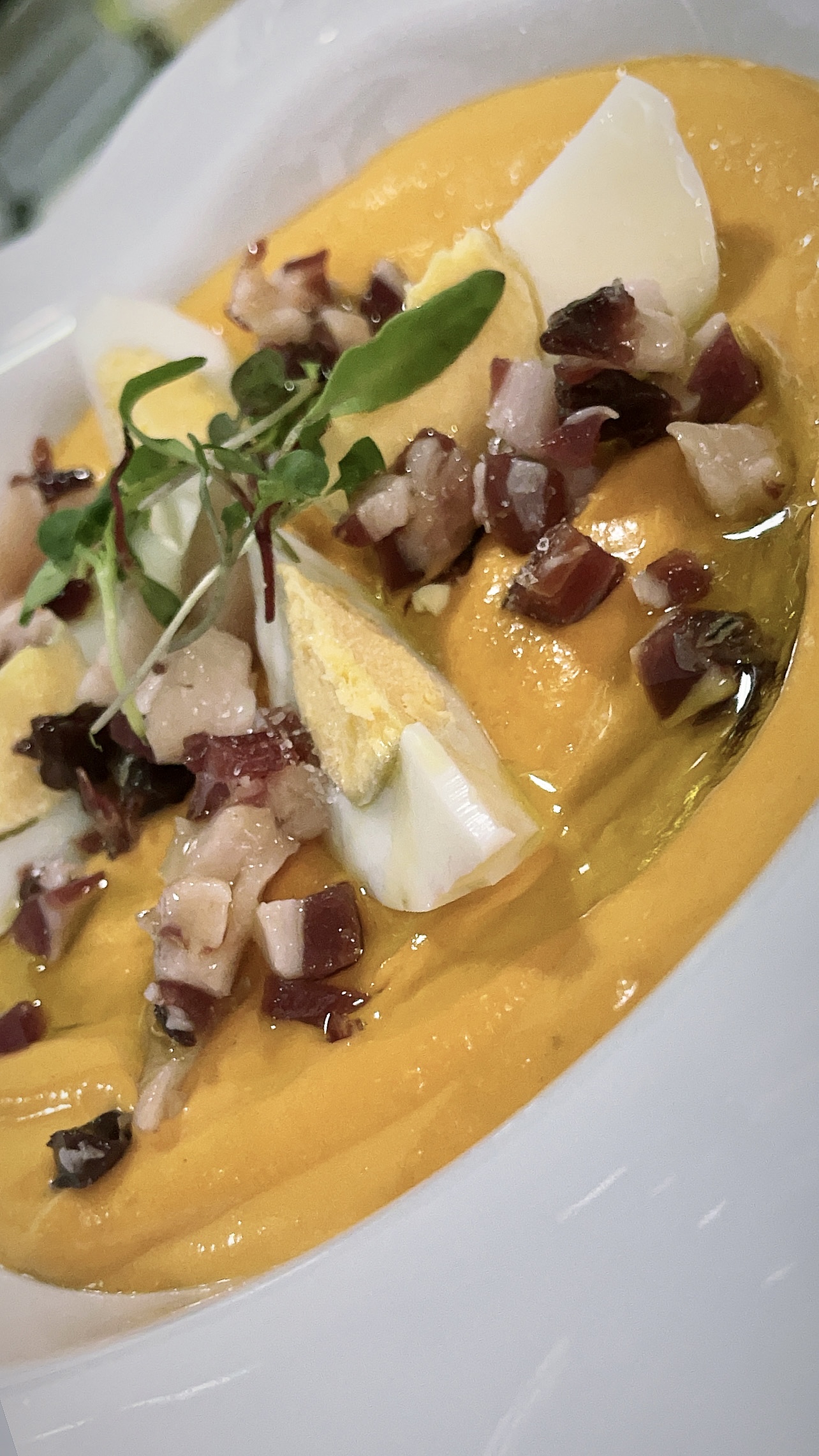 cuenco de Salmorejo cordobés