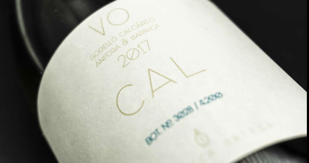 Verónica Ortega CAL 2019